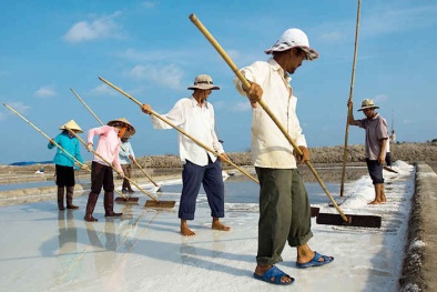 Diêm dân vẫn khó khăn dù giá muối lên cao